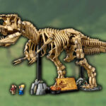 LEGO Jurassic Park 3,145 T-Rex fossils available for internal personnel