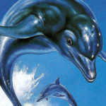 Ecco 1746528340815.jpg