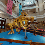 Image 48 1657739947515.png