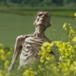 28 days later, the director joked that he deserved the royalty for the last part of our