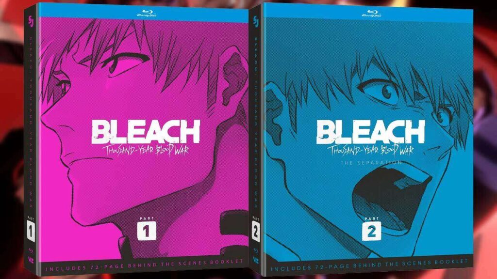 4523330 bleach 3.jpg