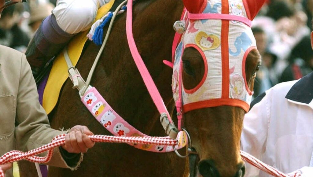 Horse 1752223626162.jpg