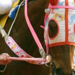 20 years ago, this lost horse racing charming Japan – now the western launch of the anime girl game, bringing her a new army of fans