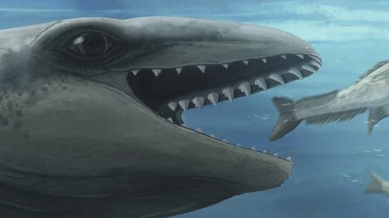 Australia prehistoric whale 298134545 e1755256162696 1755274759948.jpg