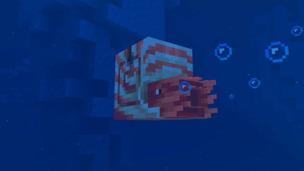 4575908 nautiluscoldocean screenshot 2.jpeg