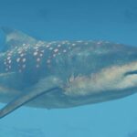 Megalodon comes to Jurassic World Evolution 3- Just don't try to punch holes in the face