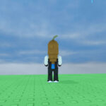 How to grow cocoa seeds in the garden