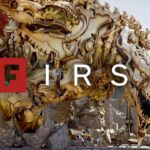 Crimson Desert: How the Venus Dragon Boss was born