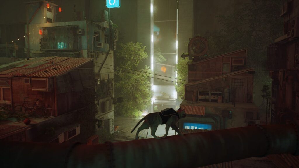 Stray 1761569795551.jpg