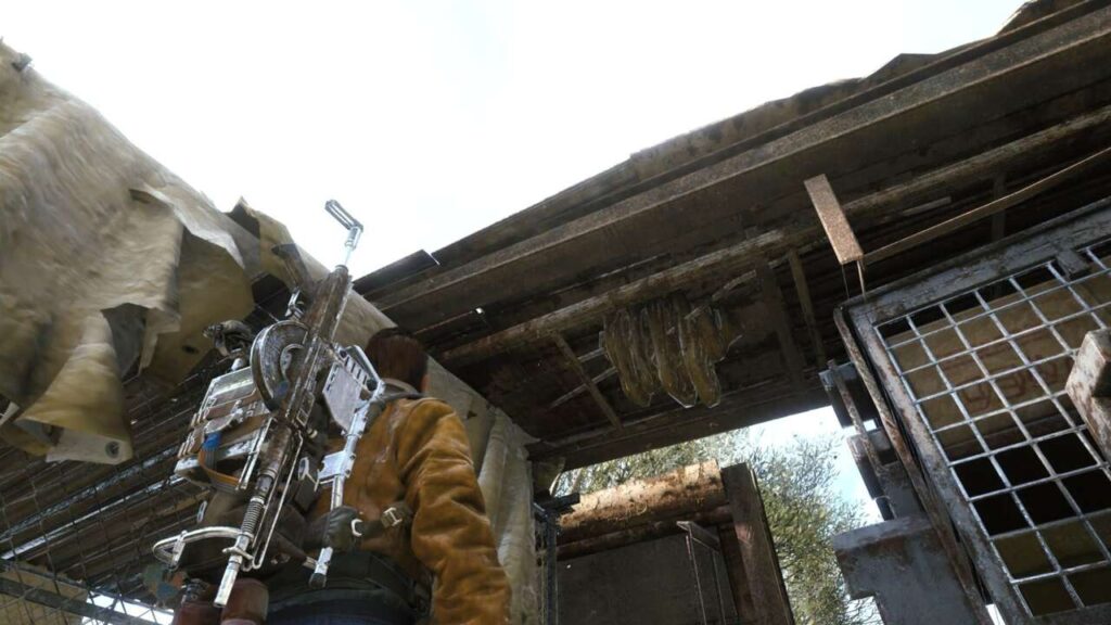 4598931 share 20251107 1127571.jpeg