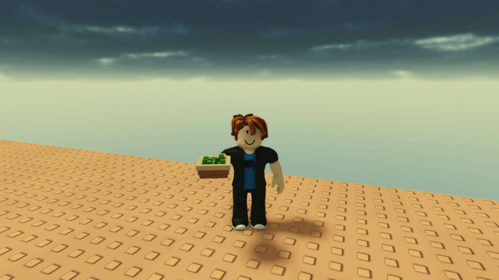 4601154 grow a garden salad.jpg