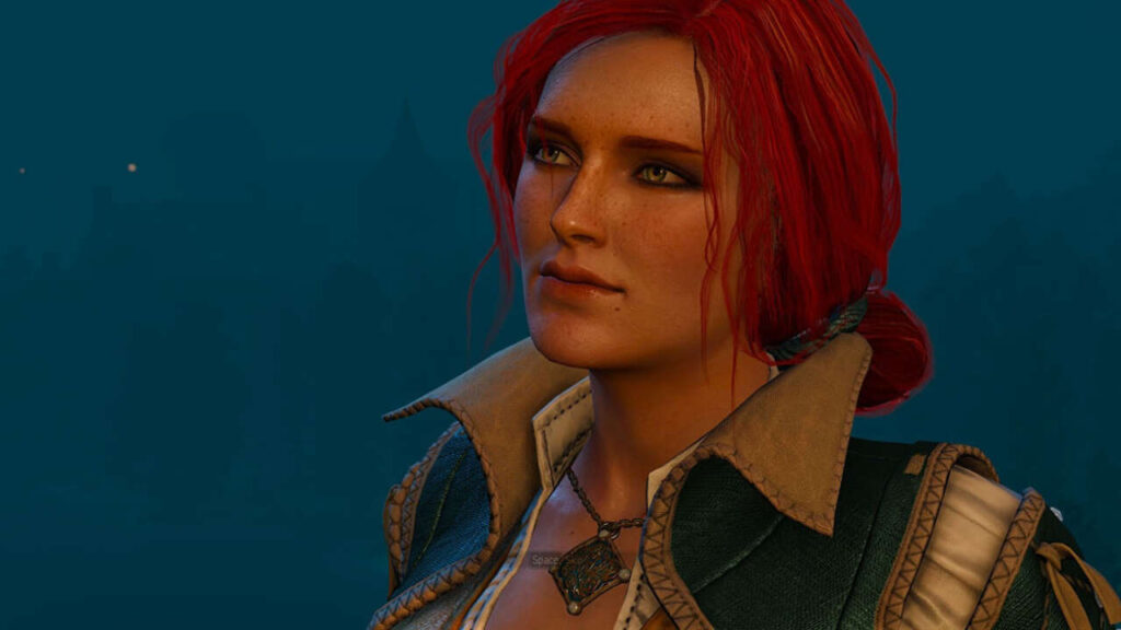 4602583 thewitcher3triss.jpg
