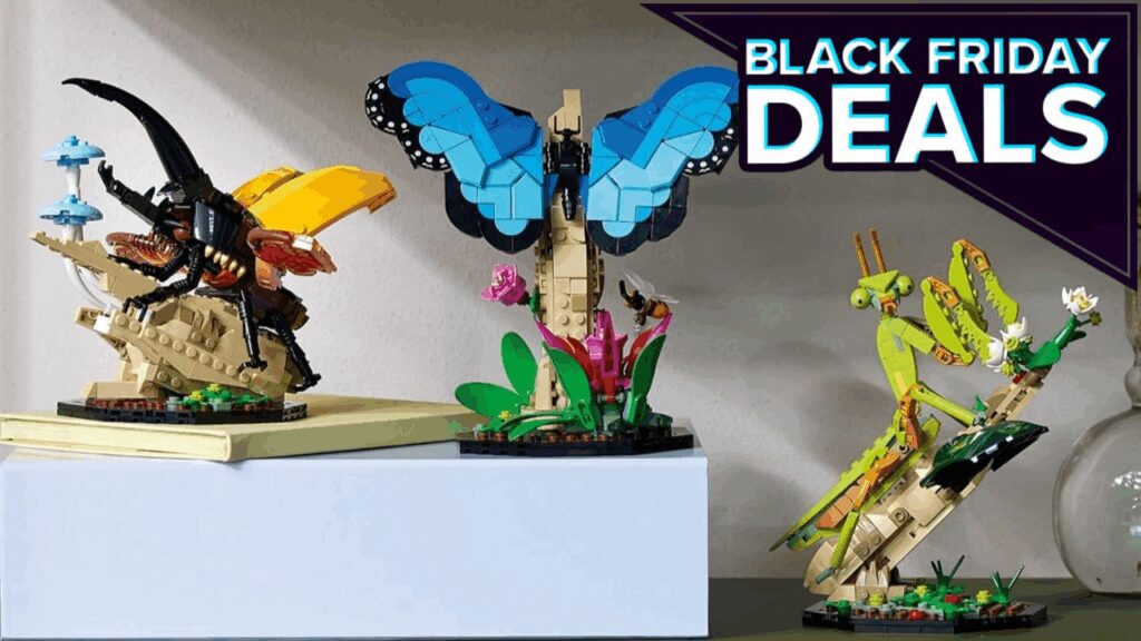 4612502 insectcollection.jpg